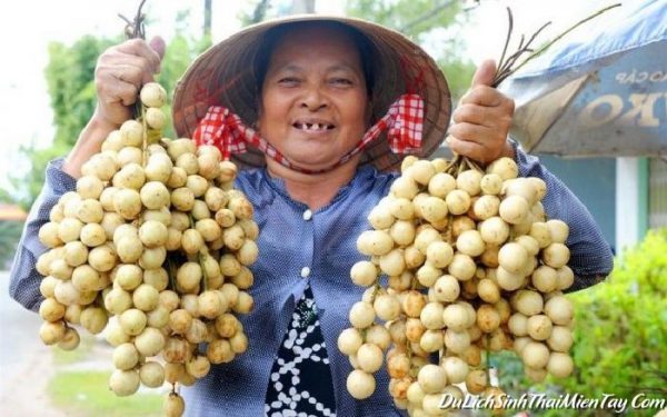 Về Miền Tây Hè Này Sẽ Thưởng Thức Những Loại Trái Cây Nào? 8 Về Miền Tây Hè Này Sẽ Thưởng Thức Những Loại Trái Cây Nào?
