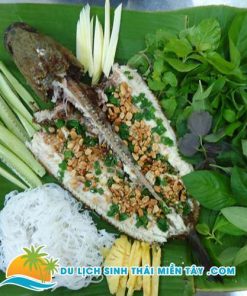 Tour Du Lịch Miền Tây 1 Ngày - Tát Mương Bắt Cá 11 Đặc Sản Cá Lóc Nướng Trui