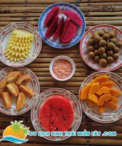 Tour Du Lịch Miền Tây 1 Ngày - Tát Mương Bắt Cá 13 Thưởng Thức Trái Cây Và Đờn Ca Tài Tử Nam Bộ