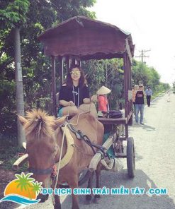 Tour Du Lịch Miền Tây 1 Ngày - Tát Mương Bắt Cá 12 Đi Xe Ngựa Trên Đường Làng