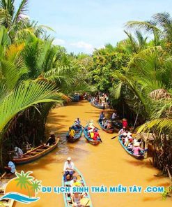 Tour Du Lịch Miền Tây 1 Ngày: Thới Sơn, Cồn Phụng (Xe Ngựa) 9 Chèo Thuyền Qua Rạch Dừa Nước