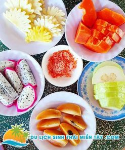 Tour Du Lịch Miền Tây 1 Ngày: Cù Lao Thới Sơn 9 Tour Thới Sơn - Khu Du Lịch Thới Sơn