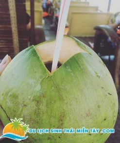 Tour Du Lịch Miền Tây 1 Ngày: Cù Lao Thới Sơn 11 Tour Thới Sơn - Khu Du Lịch Thới Sơn