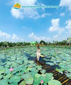 Tour Miền Tây 1 Ngày: Đồng Tháp - Làng Hoa Sa Đéc - Vườn Quýt Hồng Lai Vung - Chùa Lá Sen 10 Tour Du Lịch Làng Hoa Sa Đéc Đồng Tháp