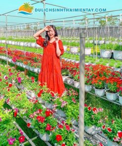 Tour Miền Tây 2 Ngày 1 Đêm: Đồng Tháp - Cần Thơ 6 Tour Miền Tây 2N1D - Làng Hoa Sa Đéc Đồng Tháp