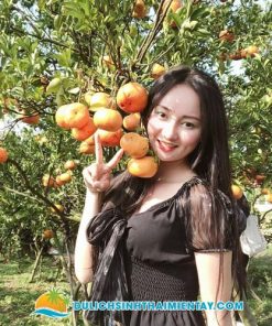 Tour Miền Tây 1 Ngày: Đồng Tháp - Làng Hoa Sa Đéc - Vườn Quýt Hồng Lai Vung - Chùa Lá Sen 8 Tour Miền Tây Trong Ngày - Vườn Quýt Hồng Lai Vung - Đồng Tháp