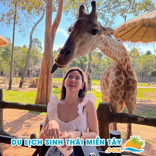 Tour Miền Tây 3 Ngày 2 Đêm - Tour Phú Quốc Trọn Gói Vé Máy Bay Khởi Hành Hàng Tuần 16 Vinpearl Safari Phú Quốc - Tour Phú Quốc 3 Ngày 2 Đêm - Du Lịch Phú Quốc