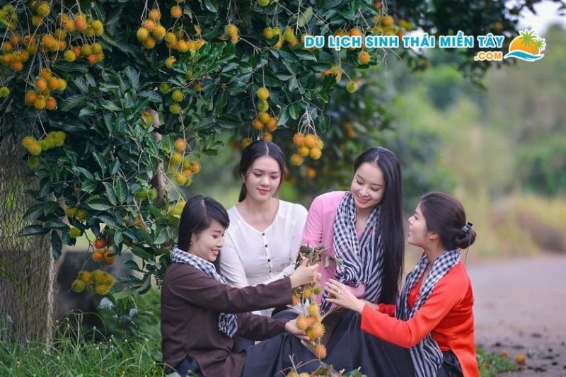 Tour Miền Tây 1 Ngày: Sài Gòn - Mỹ Tho - Bến Tre - Tham Quan Vườn Chôm Chôm 16 Tour Miền Tây Tham Quan Vườn Chôm Chôm
