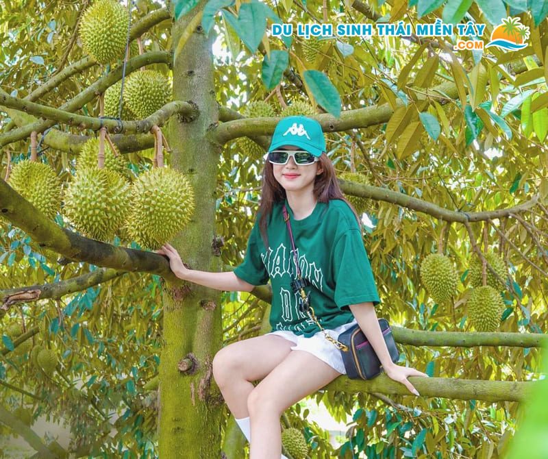 Tour Miền Tây 1 Ngày: Sài Gòn - Mỹ Tho - Bến Tre - Tham Quan Vườn Chôm Chôm 18 Tour Miền Tây Tham Quan Vườn Trái Cây