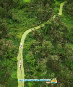 Rừng Tràm Trà Sư An Giang - Tour ghép du lịch Miền Tây 3 ngày 2 đêm Sài Gòn - Châu Đốc - Miếu Bà Chúa Xứ - Rừng Tràm Trà Sư - Chợ Nổi - Cần Thơ